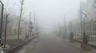 Mardin'de sis etkili oldu