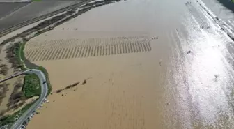 Nif Çayı taştı, Gediz Ovası su altında kaldı