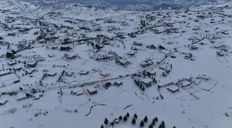 Ordu'da Perşembe Yaylası'nda kar festivali yapıldı
