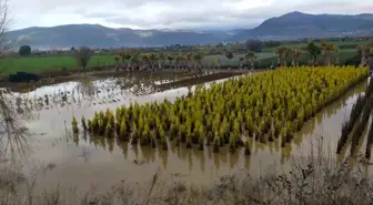 Sağanak yağış Ödemiş'te zarara neden oldu