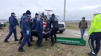 Sakarya'da sahilde erkek cesedi bulundu