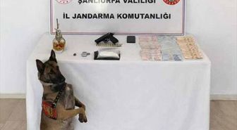 Şanlıurfa'da uyuşturucu operasyonunda 1 şüpheli yakalandı
