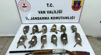 Van'da kaçak avlanan kişiye 81 bin 441 lira ceza kesildi