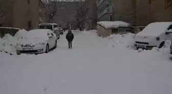 Van ve Muş'ta 68 yerleşim yerine ulaşım sağlanamıyor