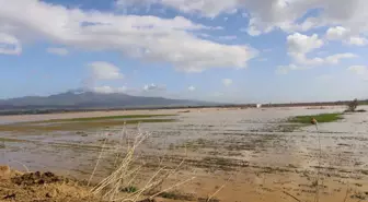 Irlamaz Çayı taştı, Turgutlu Ovası su altında kaldı