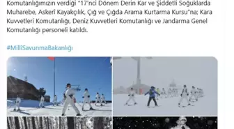 Kars'ta Mehmetçiğe Derin Kar ve Şiddetli Soğuklarda Muharebe Kursu Verildi
