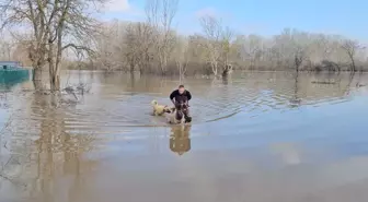 Meriç Nehri'nde su seviyesi arttı; DSİ 'turuncu alarm' uyarısında bulundu