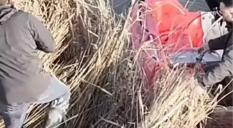 Sinop'ta yasa dışı avcılık operasyonu; 5 güme imha edildi