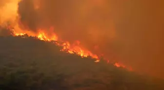 Yamanlar yangını sonrası 'rant' iddialarına ilişkin Orman Bölge Müdürlüğü'nden açıklama