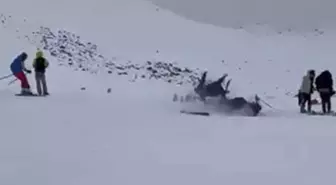 Bingöl'de kayak merkezinde feci kaza: 6 yaralı