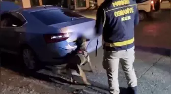 Osmaniye'de otomobil bagajında 36 kilo skunk ele geçirildi: 2 tutuklama