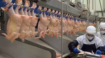 Ramazan öncesi fahiş zam bakanlığı harekete geçirdi! Tavuk ürünlerinin ihracatı durduruldu