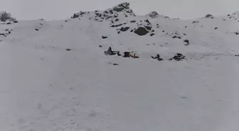 Yüksekova'da çığ nedeniyle kapanan mezra yolu, 2 ay sonra açıldı