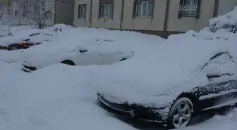Bitlis'in yükseklerinde kar kalınlığı 30 santimetreye ulaştı; 165 yerleşim yeri ulaşıma kapandı