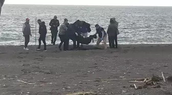 Sahilde kan donduran manzara! Yürürken fark edip telefona sarıldı