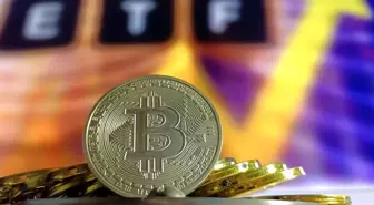ABD'deki Bitcoin ETF'leri yaklaşık bir ay sonra ilk kez art arda giriş kaydetti