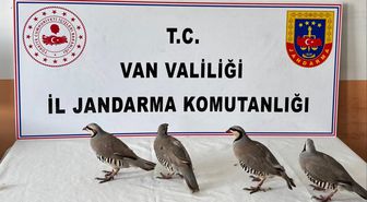 Kınalı keklik avına 85 bin TL ceza