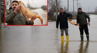 Meriç Nehri taştı, vatandaşlar tarla ve bahçelerde kilolarca balık yakaladı