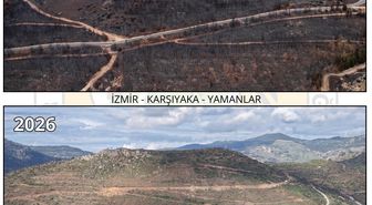 Orman yangını ile zarar gören Yamanlar, yeşile bürünüyor