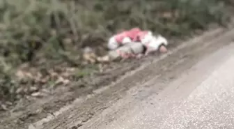 TIR'la getirilip, köye bırakılan düzensiz göçmenler yakalandı; 1 göçmen hipotermiden öldü