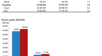 TÜİK: Büyükbaş sayısı yüzde 4,3, küçükbaş yüzde 5,4 arttı