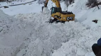 Van'da çığ nedeniyle kapanan yol açılmaya çalışılıyor