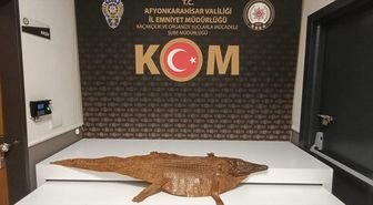 Afyonkarahisar'da timsah derisi ele geçirildi