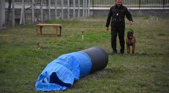 Afyonkarahisar'da Uluslararası ve Ulusal Arama Köpekleri Sınavı başladı