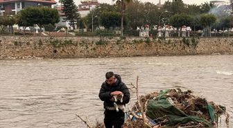 Alanya'da çayda mahsur kalan kediyi vatandaş kurtardı