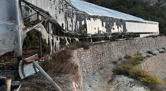 Alanya'da kundaklama iddiasıyla yakalanan 3 zanlı tutuklandı