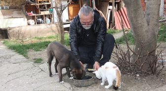 Amasya'da köpek Oskar ile kedi Çiçek'in dostluğu örnek oluyor