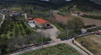 Anadolu'nun zeytinyağı mirası İzmir'deki 'tadım kütüphanesinde' buluştu