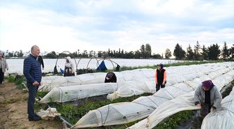 Anamur Belediye Başkanı Deniz, tarım işçisi kadınları ziyaret etti