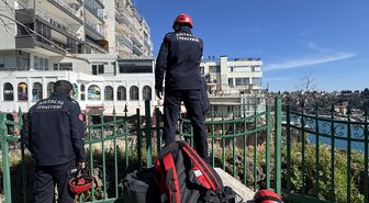 Antalya'da falezlerde mahsur kaldığı sanılan kedi itfaiyeyi harekete geçirdi