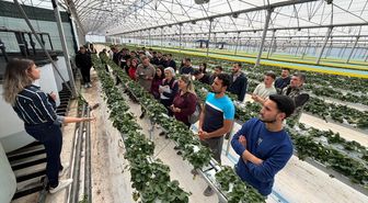 Antalya'da üniversite öğrencileri çilek üretim tesisinde 'topraksız tarım'la tanıştı