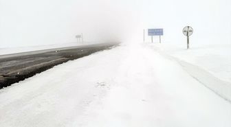 Ardahan'da kar ve sis ulaşımı olumsuz etkiliyor