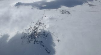 Ardahan ve Kars'ın yükseklerinde kar etkili oldu