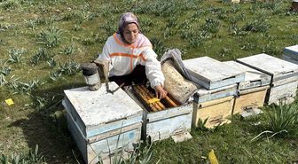 Arıcılığı babasından öğrenen genç devlet desteğiyle kovan sayısını 470'e çıkardı