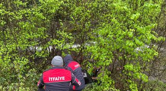 Artvin'de dereye devrilen otomobilin sürücüsü yaralandı