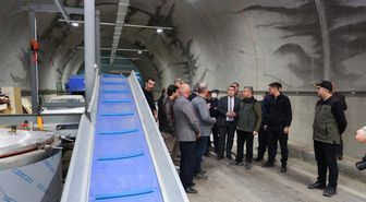 Artvin Valisi Ergün, mantar üretim tesisinde incelemelerde bulundu