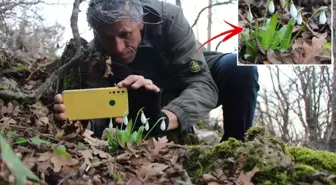 Avrupa resmen peşine düştü! Milli servetimizi kaçırmak istiyorlar