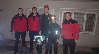 Balıkesir'de havalandırma boşluğuna düşen kedi kurtarıldı