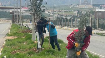 Batman'da ağaçlandırma çalışması yapıldı