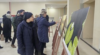 Beyşehir'den kısa kısa