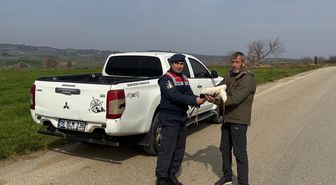 Bilecik'te yaralı bulunan leylek tedaviye alındı