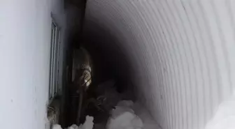 Bingöl'de kar yaşamı olumsuz etkiliyor