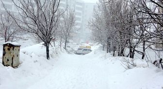 Bitlis'te kar etkili oldu
