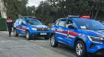 Bodrum'da 2 köpeğin tüfekle öldürülmesiyle ilgili 1 kişi yakalandı