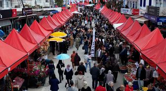 Bodrum'da 7. Acı Ot Festivali binlerce kişiyi ağırladı