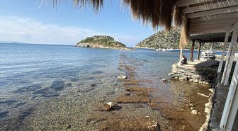 Bodrum'da denizin çekilmesiyle Tavşan Adası'ndaki tarihi surlar ortaya çıktı